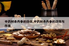 <b>��ҩ�ĳ൤�εĹ�Ч,��ҩ�ĳ൤�εĹ�Ч������</b>