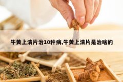 <b>ţ������Ƭ��10�ֲ�,ţ������Ƭ����ɶ��</b>