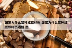 <b>����Ϊʲô���ֺ춹ɼ��,����Ϊʲô���ֺ춹ɼ��͹͸�� ͼ</b>