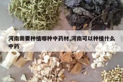 <b>������Ҫ��ֲ������ҩ��,���Ͽ�����ֲʲô��ҩ</b>