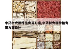 <b>��ҩ�Ĵ�����ֲ���緽��,��ҩ�Ĵ�����ֲ���緽�����</b>