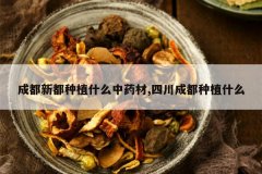 <b>�ɶ��¶���ֲʲô��ҩ��,�Ĵ��ɶ���ֲʲô</b>