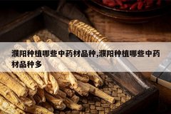 <b>�����ֲ��Щ��ҩ��Ʒ��,�����ֲ��Щ��ҩ��Ʒ�ֶ�</b>