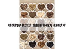 <b>�۹������Է���,�۹������Է����ͼ���</b>