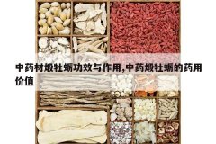 <b>��ҩ����ĵ�ù�Ч������,��ҩ��ĵ�õ�ҩ�ü�ֵ</b>