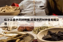 <b>�ٲ�������ҩ����ֲ,������ҩ����ֲ���޹�˾</b>