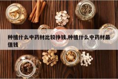 <b>��ֲʲô��ҩ�ıȽ���Ǯ,��ֲʲô��ҩ����ֵǮ</b>