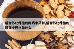 <b>�ʺ��ձ���ֲ��׬Ǯ��ҩ��,�ʺ��ձ���ֲ��׬Ǯ��ҩ����ʲô</b>