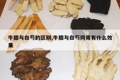 <b>ţϥ����ֵ�����,ţϥ�����ͬ����ʲôЧ��</b>