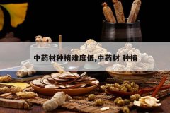 <b>��ҩ����ֲ�Ѷȵ�,��ҩ�� ��ֲ</b>