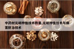 <b>��ҩ��Ԫ����ֲ�����̰�,Ԫ����ֲ�����벡�����μ���</b>