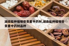 <b>��������ֲ��Щ������ҩ��,��������ֲ��Щ������ҩ��Ʒ��</b>