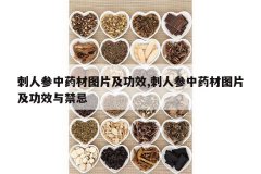 <b>���˲���ҩ��ͼƬ����Ч,���˲���ҩ��ͼƬ����Ч�����</b>