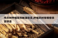 <b>��ҩ����ֲ�ҹ���׼��ƶ,��ֲҩ������Щ��ƶ��Ŀ</b>