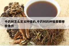 <b>��ҩ����ô������ֲ��,��ҩ�ĵ���ֲ��Ҫ��Щ����</b>