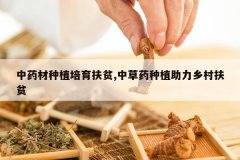 <b>��ҩ����ֲ������ƶ,�в�ҩ��ֲ��������ƶ</b>