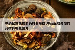 <b>��ҩ��Ч������ҩ������Щ,��ҩ��Ч������ҩ������ЩͼƬ</b>