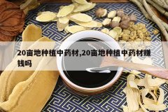 <b>20Ķ����ֲ��ҩ��,20Ķ����ֲ��ҩ��׬Ǯ��</b>