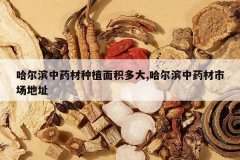 <b>��������ҩ����ֲ������,��������ҩ���г���ַ</b>