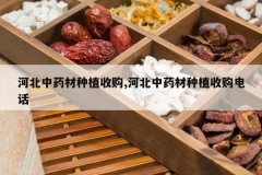 <b>�ӱ���ҩ����ֲ�չ�,�ӱ���ҩ����ֲ�չ��绰</b>