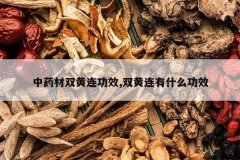 <b>��ҩ��˫������Ч,˫������ʲô��Ч</b>