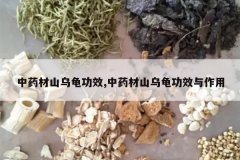 <b>��ҩ��ɽ�ڹ깦Ч,��ҩ��ɽ�ڹ깦Ч������</b>