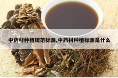 <b>��ҩ����ֲ�淶��׼,��ҩ����ֲ��׼��ʲô</b>