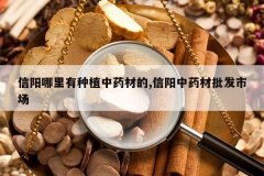 <b>������������ֲ��ҩ�ĵ�,������ҩ�������г�</b>