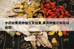 <b>��ҩ�Ļ�����ֲ������,������ֲ��������ջ�</b>