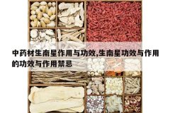 <b>��ҩ�������������빦Ч,�����ǹ�Ч�����õĹ�Ч�����ý���</b>