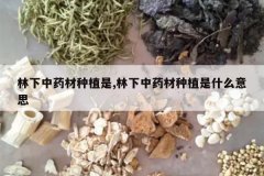 <b>������ҩ����ֲ��,������ҩ����ֲ��ʲô��˼</b>