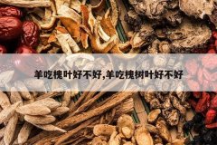 <b>��Ի�Ҷ�ò���,��Ի���Ҷ�ò���</b>