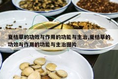 <b>�ĿݲݵĹ�Ч�����õĹ���������,�ĿݲݵĹ�Ч�����õĹ�������</b>