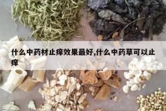 <b>ʲô��ҩ��ֹ��Ч�����,ʲô��ҩ�ݿ���ֹ��</b>