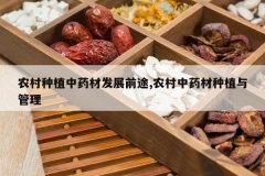 <b>ũ����ֲ��ҩ�ķ�չǰ;,ũ����ҩ����ֲ�����</b>