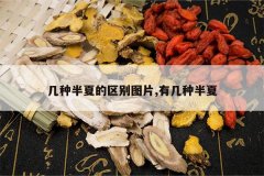 <b>���ְ��ĵ�����ͼƬ,�м��ְ���</b>