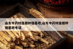 <b>ɽ����ҩ��������ֲ����,ɽ����ҩ��������ֲ���ص绰</b>