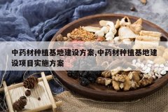 <b>��ҩ����ֲ���ؽ��跽��,��ҩ����ֲ���ؽ�����Ŀʵʩ����</b>