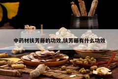 <b>��ҩ�ķ����ٵĹ�Ч,��������ʲô��Ч</b>