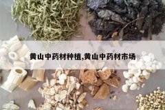 <b>��ɽ��ҩ����ֲ,��ɽ��ҩ���г�</b>