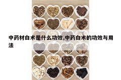 <b>��ҩ�İ�����ʲô��Ч,��ҩ�����Ĺ�Ч���÷�</b>