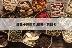 <b>�ٻ���ҩͼƬ,�ٻ���ҩ����</b>