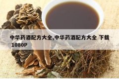 <b>�л�ҩ���䷽��ȫ,�л�ҩ���䷽��ȫ ���� 1080P</b>