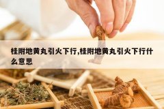 <b>�𸽵ػ�����������,�𸽵ػ�����������ʲô��˼</b>