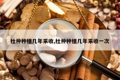 <b>������ֲ�������,������ֲ�������һ��</b>