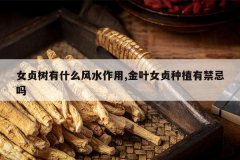 <b>Ů������ʲô��ˮ����,��ҶŮ����ֲ�н�����</b>