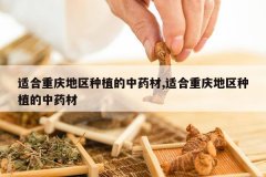 <b>�ʺ����������ֲ����ҩ��,�ʺ����������ֲ����ҩ��</b>