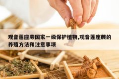 <b>��������ާ����һ������ֲ��,��������ާ����ֳ������ע������</b>