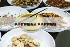 <b>��ҩ����ֲ�ټ�,��ҩ����ֲֲ</b>