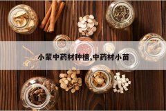 <b>С����ҩ����ֲ,��ҩ��С��</b>